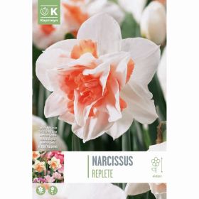 Narcissus Double Replete - 5 Bulbs